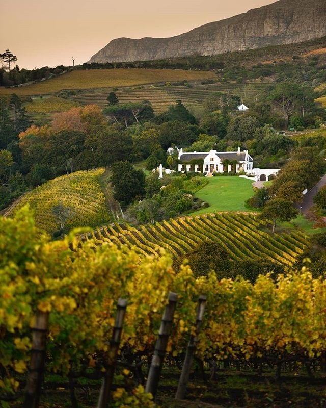 A Cape Dutch estate at the top of its vineyards in the last of the light